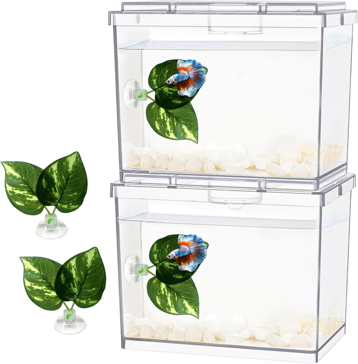 MoonOrange Mini Betta Fish Tank Kit with LED Light Base - Mini Tank 01 X2