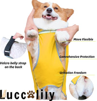 Dog Rain Jacket with Hood for Small Pet - Yellow / Small Plus (S +) - image 4