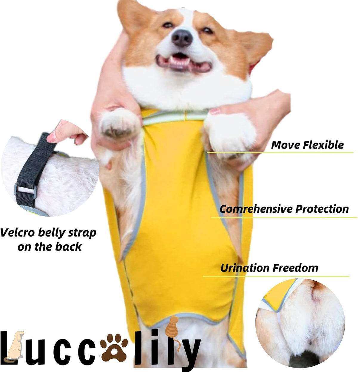 Dog Rain Jacket with Hood for Small Pet - Yellow / Small Plus (S +) - image 4