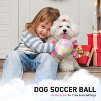 QDAN Dog Soccer Ball Toy with Strap - A-Colorful Pink / Small Size 1 - image 2