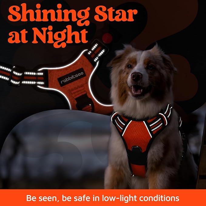 rabbitgoo Dog Harness Small Sized, No Pull Dog Vest with 3 Buckles, Adjustable Soft Padded Pet Harness with Easy Control Handle and Reflective Strips, Orange, S