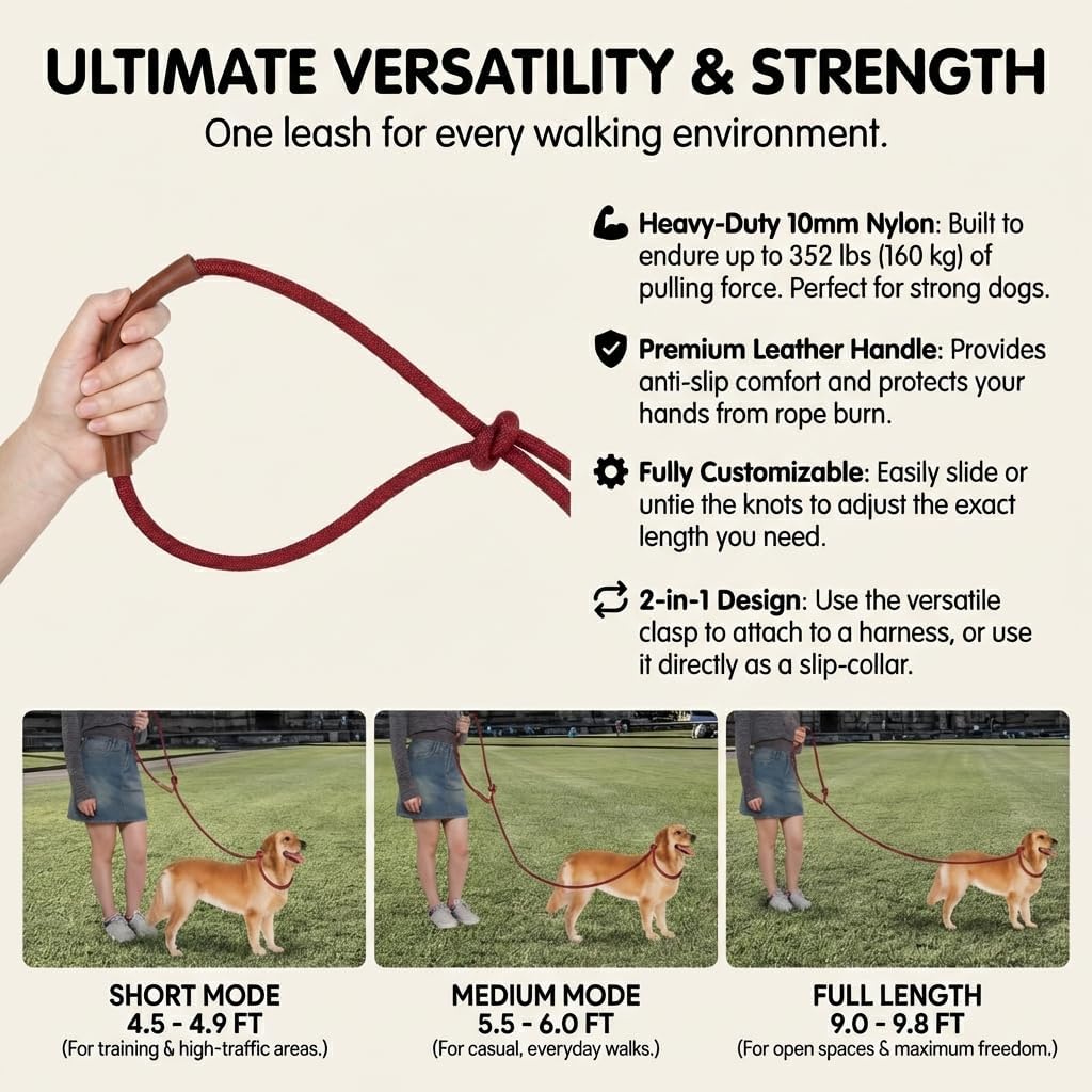 Hands Free Multifunctional Dog Leash for 1 or 2 Dogs - Winery Red - image 4