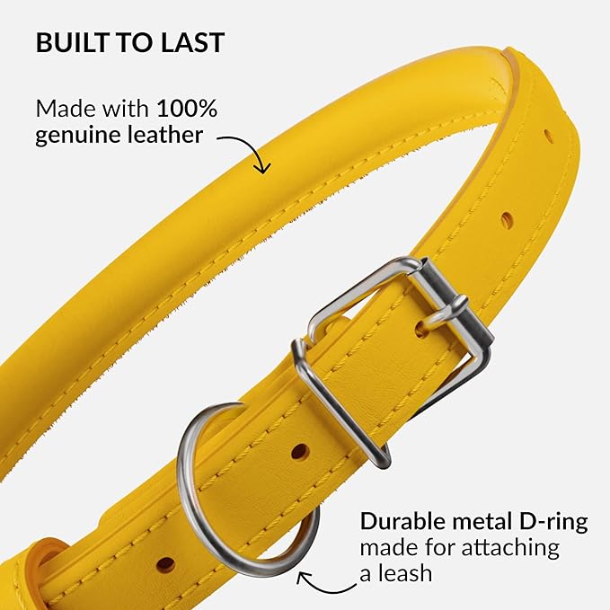 CollarDirect Rolled Leather Dog Collar, Soft Padded Round Puppy Collar, Handmade Genuine Leather Collar Dog Small Large Cat Collars 13 Colors (15-19 Inch, Yellow Smooth)