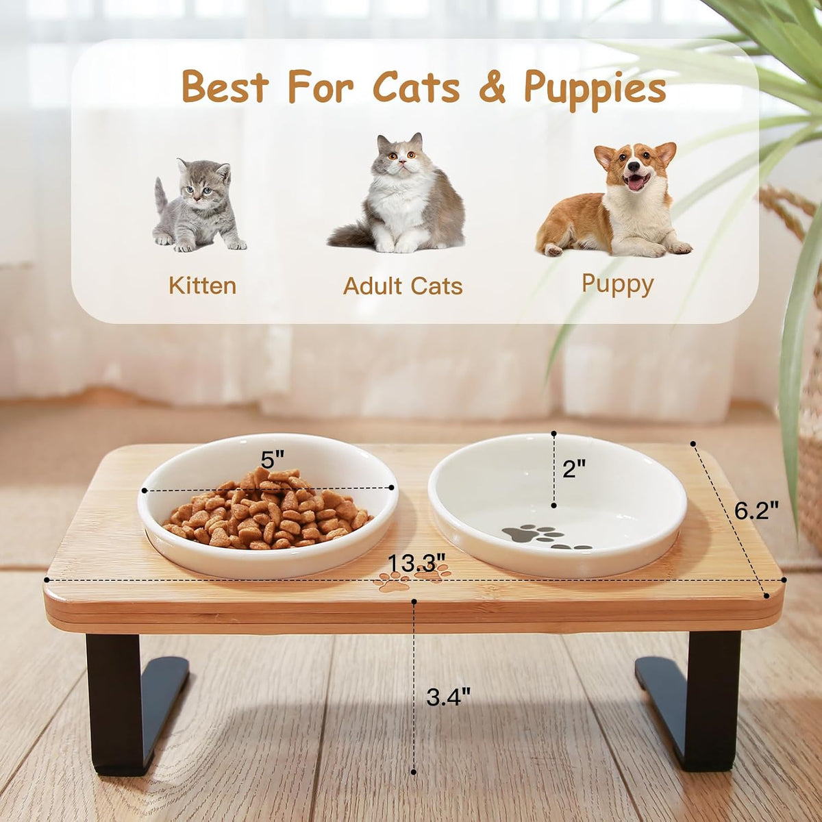 Ceramic Elevated Cat Bowls with 10° Tilted - 5" Bowls x2 - image 3