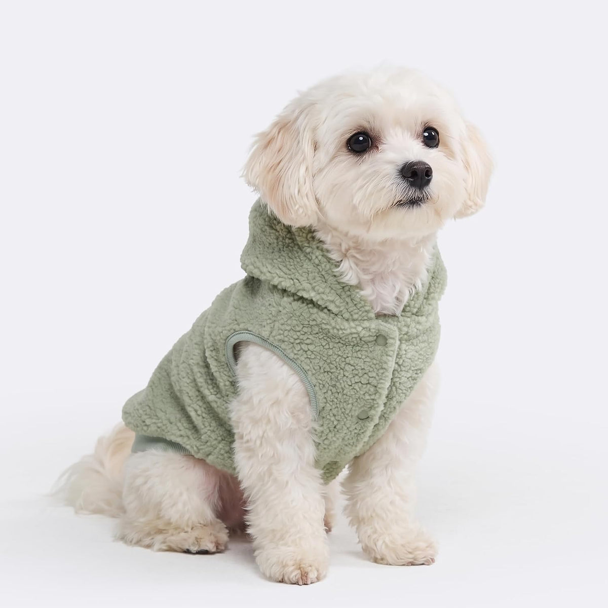 Spark Paws Fleece Dog Hoodie - Light Green / Medium