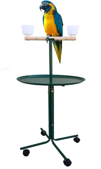 Large 48" Parrot Play T-Stand with Lockable Wheels – Essentials for Birds