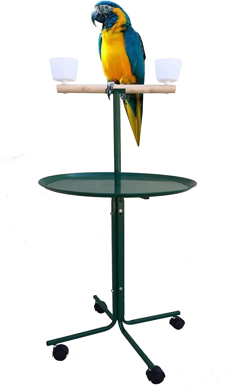 Large 48" Parrot Play T-Stand with Lockable Wheels – Essentials for Birds