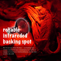Reptile Heat Lamp, UVA Daylight Basking Light for Bearded Dragon - 2-pack Night Heat Bulb / 75W - image 4