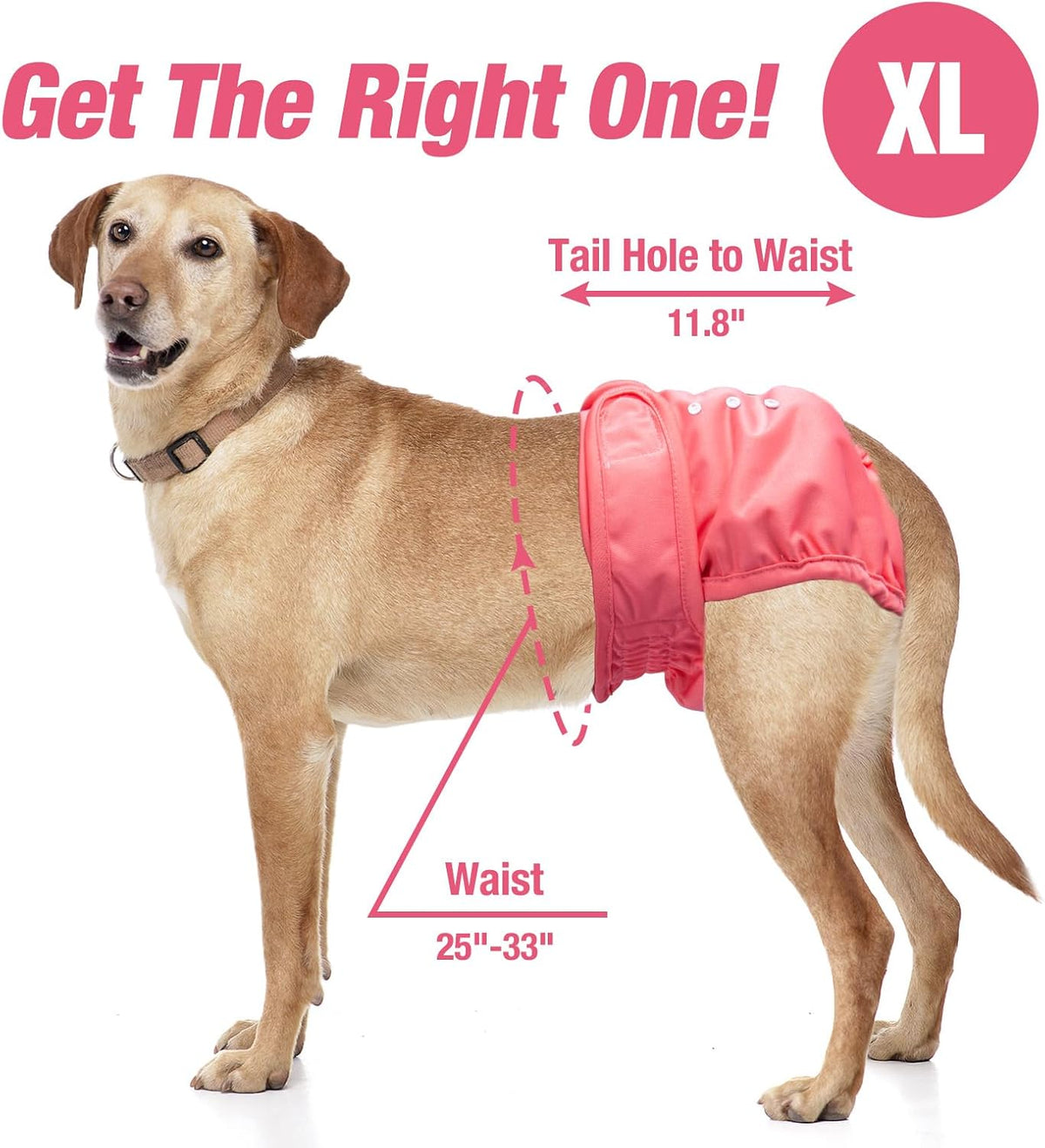 Pet Soft Washable Female Diapers Female Dog Diapers - Sprightly / X-Large:25''-33'' - image 3