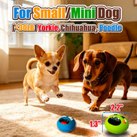 Latex Squeaky Dog Toys for Small Dogs, Mini Breed - 8 Colors - image 2