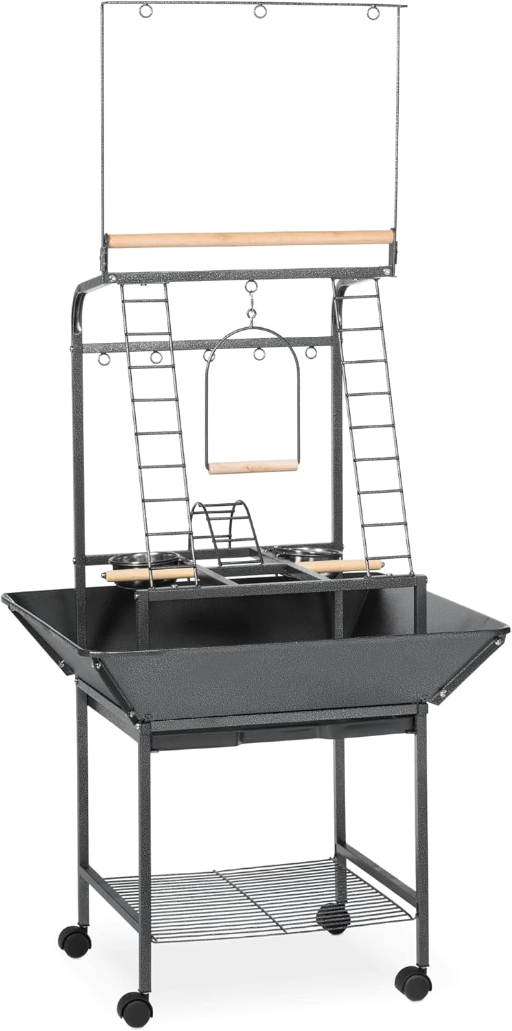 Prevue Pet Products Parrot Play Stand with Wheels, Black - Small