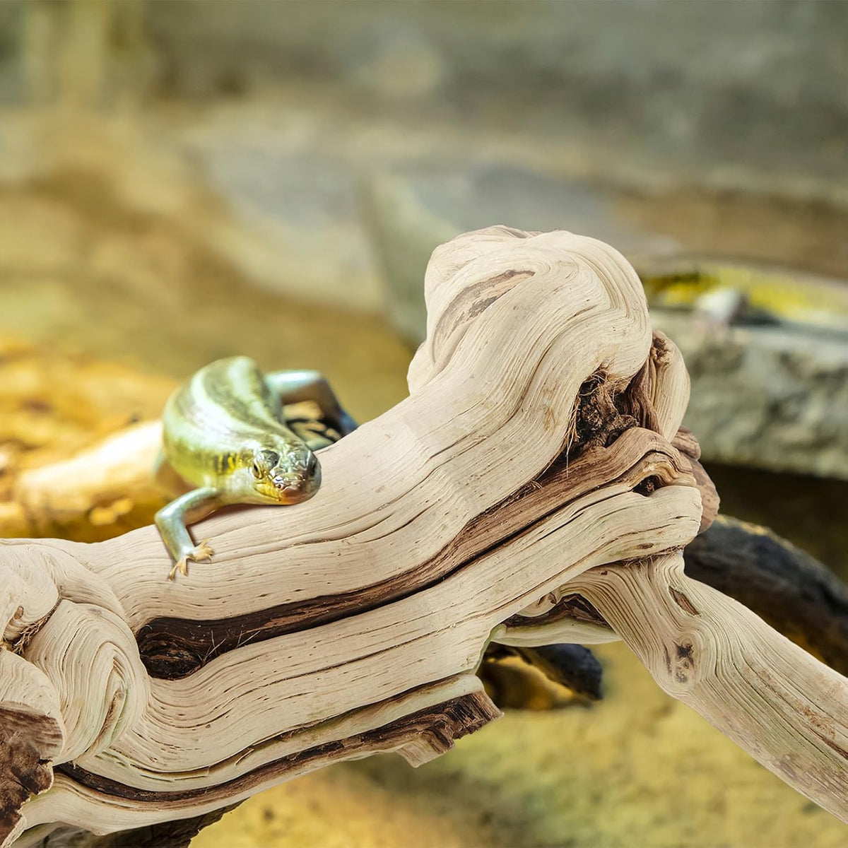 Janinka 14-17" Large Reptile Driftwood Branch for Bearded Dragon Gecko - 26-28" - image 4