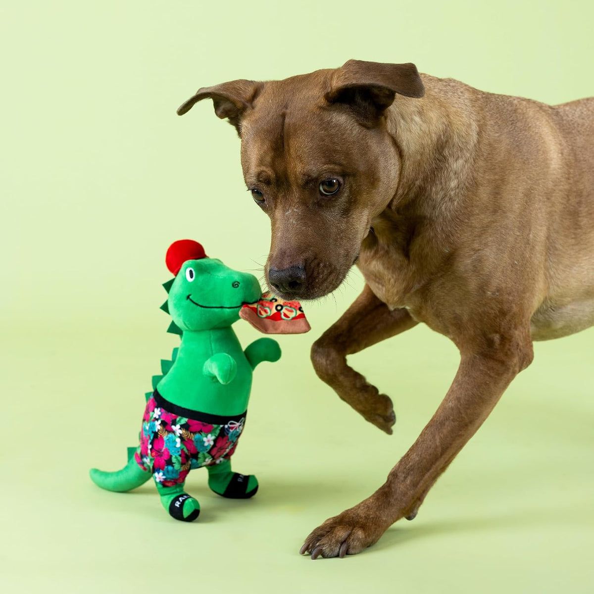 Fringe Studio Dog Plush Pet Toy with Squeaker - Pizzasaurus - image 4