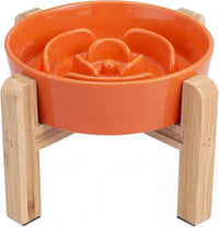 Elevated Slow Feeder Dog Bowl - Orange / 1.5 Cups