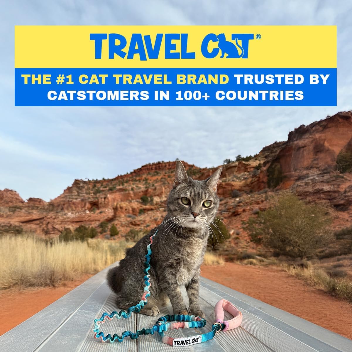 Travel Cat Harness and Bungee Leash Set, Large Cats, Kitten - Watercolors - image 2