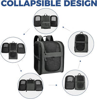 Apollo Walker Pet Carrier Backpack for 4-15lb Cats and Dogs, Puppies, Safety Features and Cushion Back Support | for Travel, Hiking, Outdoor Use (Gray)