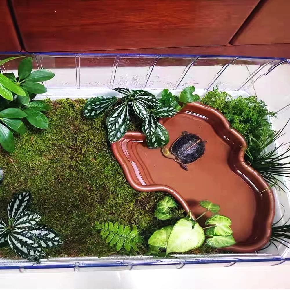 Extra Large Reptile Bathing Pool Reptile Feeding Dish Water Bowl - Brown - image 2