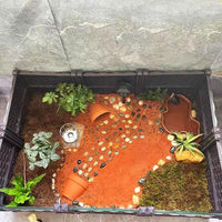 Extra Large Reptile Bathing Pool Reptile Feeding Dish Water Bowl - Brown - image 3
