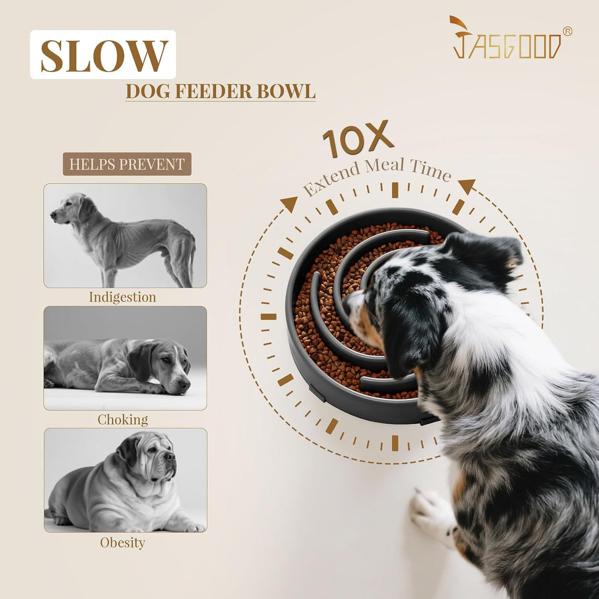 JASGOOD Slow Feeder Dogs Bowl for Large Medium Dogs - Large / C-Dark Grey - image 3