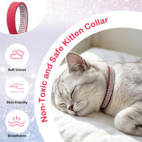 Rhinestone Cat Collar Breakaway, Bling Sparkly Diamond - Red-1 / 8"-12" Cats / Mini Dogs - image 2