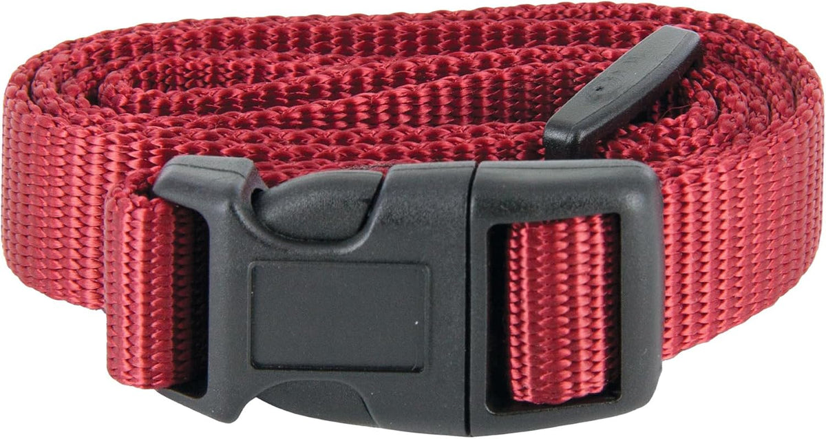 PetSafe 3/4 Inch Replacement Collar Strap, Rust/Red – Essentials for Dogs - Red
