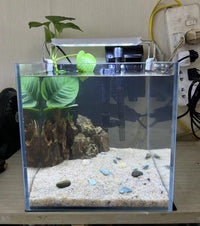 AWXZOM Small Nano Tall Rimless Tank, Glass Fish Tank, Betta Tank – Essentials for Fish - 2 Gallon 7.8x7.8x7.8inch/20x20x20cm - image 4