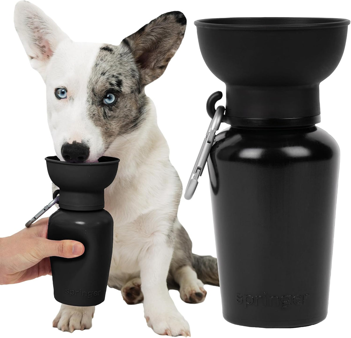 Springland 22oz Classic Portable Dog Water Bottle with Built-in Bowl - Black / 20oz Flip