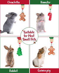 3PCS Chinchilla Toys Guinea Pig Bunny Rabbit Chew Toys Teeth Care - Christmas - image 4