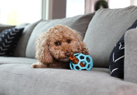 JW Pet HOL-ee Roller Dog Puzzle Ball, Large 5.5in - Blue / Medium - image 2