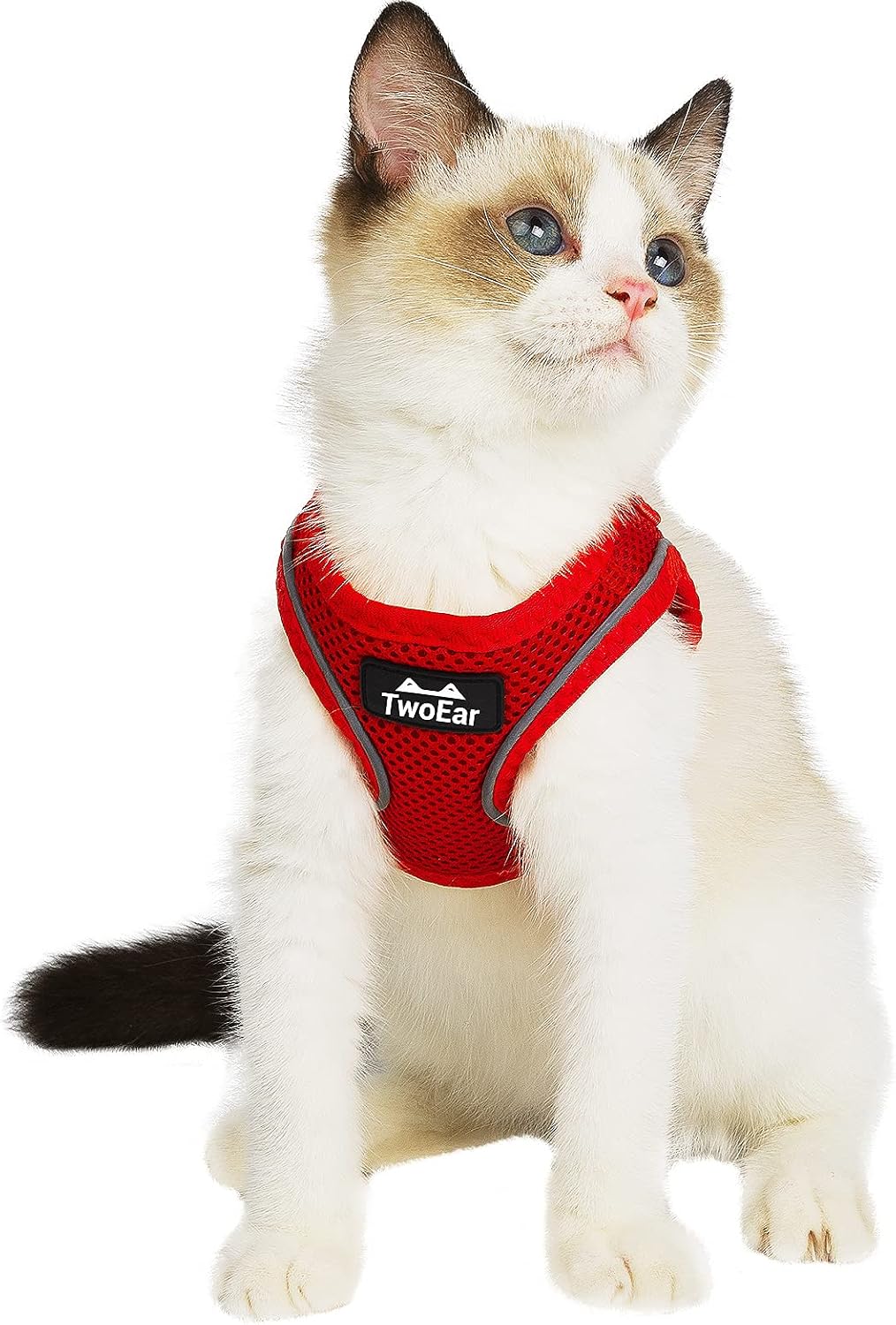 Cat Harness and Leash Set - Red / XXS(Neck:11.4-12.2"/Chest:12.6-14.2")