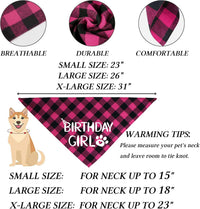 STMK Dog Birthday Bandana - Small / Pink - image 2
