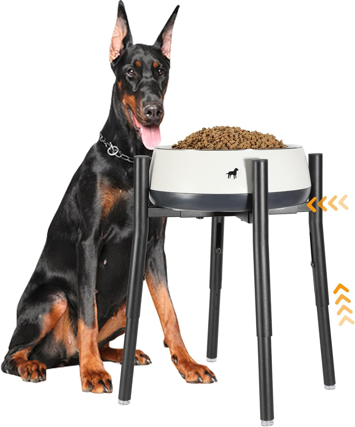 PROERR Raised Single Dog Bowl Stand for Medium Large