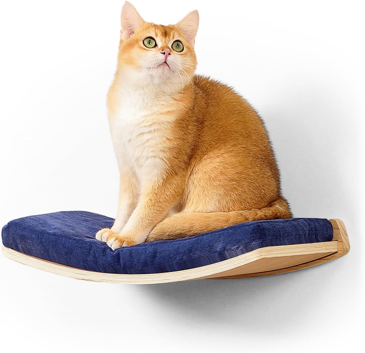 Curved Cat Shelves and Perches - Wood Shelf+Bule Cushion