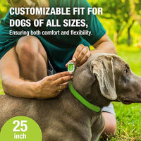 EcoVenger Flea & Tick Collar Repellent 2-Pack Green, Fits Both Dogs & Cats, Built-in Pant-Based Formula Strong Repellency Slow Release, Lasting Deterrence and Protection, Pleasant Aroma, Waterproof