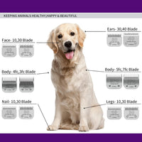 10# Grooming Ceramic Pet Clipper Blades Compatible with Andis & Oster - Silver / 10# 1.5mm (2 Pack) - image 4