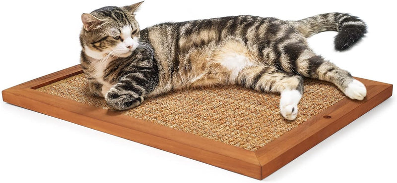 Cat Scratching Post - BXL, Natural Wooden Sisal Cat Wall Scratcher, Floor or Wall Mounted Vertical - Single