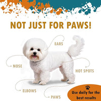 Natural Dog Paw & Nose Balm – Moisturizing Paw Wax with Dead Sea Minerals | Lick-Safe, Organic Balm for Dry, Cracked Paws & Dry Noses | Heat, Ice & Terrain Protection – 1.75 oz