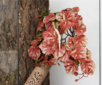 2Pack Reptile Plants for Terrarium - E-fake Heuchera Micrantha Pink - image 4