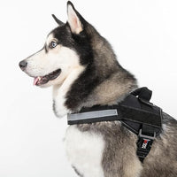 Dogline Dog Harness, Reflective No-Pull Adjustable Vest with Handle for Walking, Training, Breathable, No - Choke Harness for Small, Medium or Large Dogs Room for Patches Girth 27 to 34 in Black