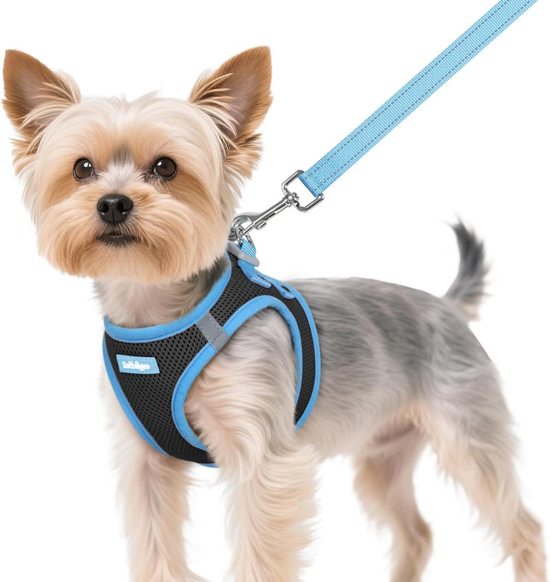 rabbitgoo Dog Harness Small Sized and Leash Set - Black & Blue / XS (Chest: 13.3"-15.5")