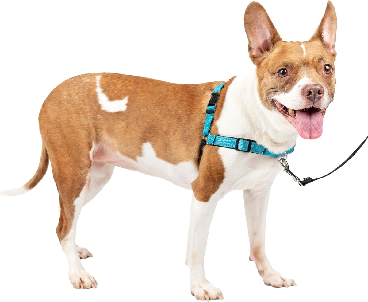 PetSafe Easy Walk Deluxe Dog Harness, No Pull Dog Harness - Medium / Ocean