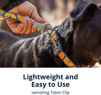 Ruffwear, Crag Dog Leash, Reflective Everyday 6 ft Lead - Alpine Dusk / One Size - image 3