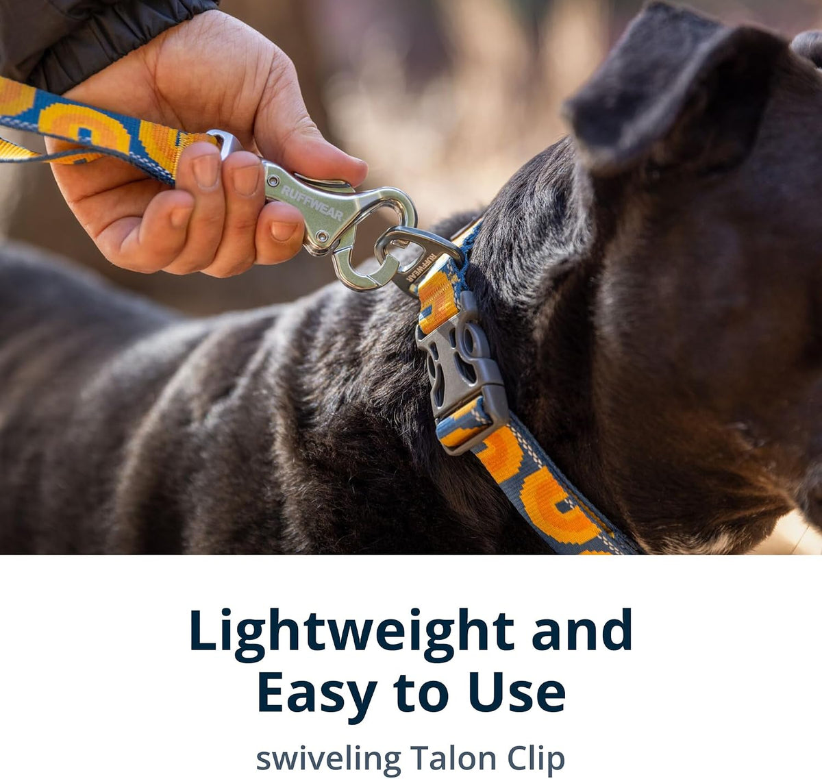 Ruffwear, Crag Dog Leash, Reflective Everyday 6 ft Lead - Alpine Dusk / One Size - image 3