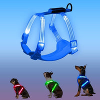 Rechargeable Light Up Dog Harness for Small Dogs – Adjustable LED Dog Vest with Reflective Strips, No Pull Glow in The Dark Puppy Harness for Night Walking Safety-Blue