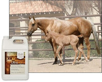 UltraCruz® Equine Wheat Germ Oil Blend, 1 Gallon