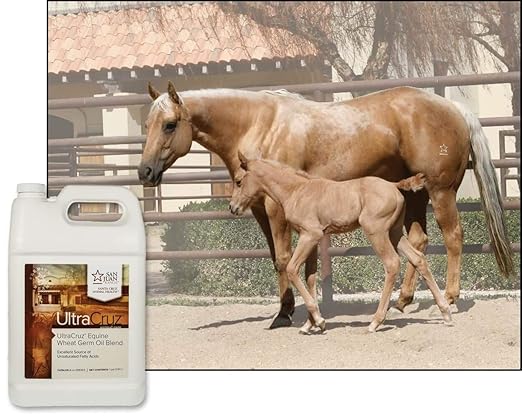 UltraCruz® Equine Wheat Germ Oil Blend, 1 Gallon