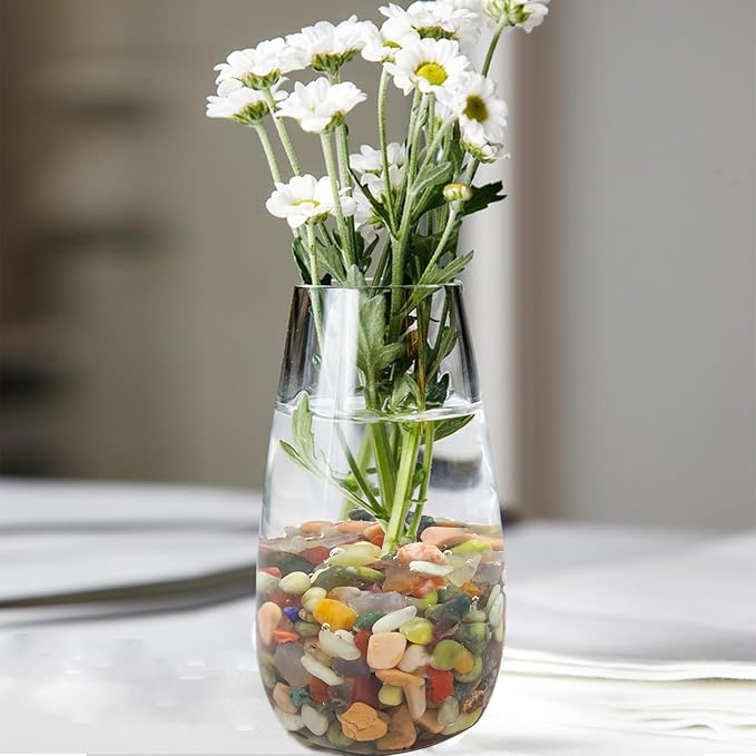 10 lbs Small Succulent Rocks, 3/8 Inch Colorful Polished Pebbles for Indoor Plants. Decorative Rocks for Plants Indoor, Vases, Planters Aquarium and Outdoor Landscaping Garden