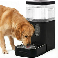 2.2 Gallon Automatic Dog Water Dispenser with Stainless Steel Bowl – Essentials for Dogs - Black / 2.9 Gallon