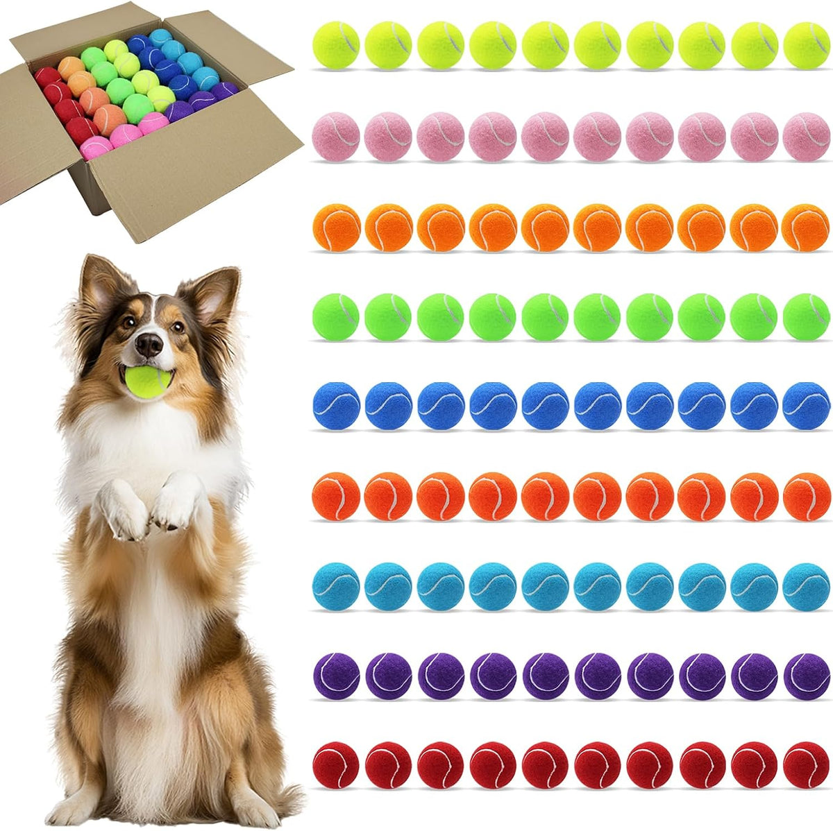 Magicorange Tennis Balls for Dogs - Multicolor / 90 Pack