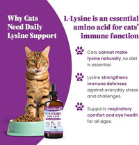 Special Breed L-Lysine for Cats & Kittens – Immune, Respiratory & Eye Health Support – Liquid Cat Supplement with Astragalus, Burdock, Atractylodes, Dangshen & Vitamins A, B1, B2, B6 – 8oz (240mL)